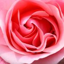 디제이 뭉 이미지