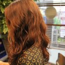 하이크라스 이미지