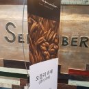 카페 템버 이미지
