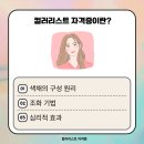 컬러리스트 자격증 단기간에 취득하기!