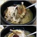 진품참옻닭