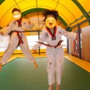 강남 경희대 태권도 이미지