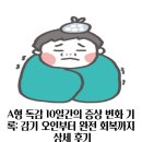 오인숲 | A형 독감 10일간의 증상 변화 기록: 감기 오인부터 완전 회복까지 상세 후기