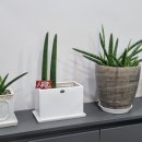 미.서울치과 이미지