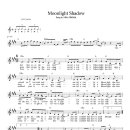 Moonlight Shadow-Mike Oldfield (악보포함) 이미지