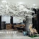 더 그레이스 골프 이미지