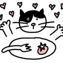 테코디자인