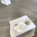 강남-122 이미지