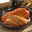 김치에 생긴 곰팡이, ‘이 색깔’이면 절대 먹으면 안돼 이미지