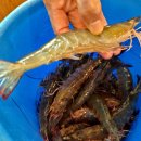 대명구이 이미지