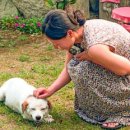 언덕위에 민박 이미지