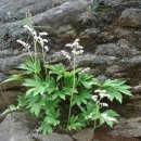 우향펜션 이미지