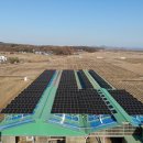 거북발전소 이미지