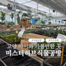 충장로 350번길 | [경기/고양]고양시 원예체험 아이랑 가볼만한 곳 미스터허브식물공방