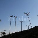 솟대 - 종로구 종로 336 | 솟대