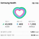 홀로 가는 설악 서북능선(한계령~귀때기청~대승령~십이선녀탕 ~남교리) 이미지