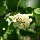 종로-종로-종로-종-314 이미지