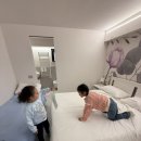 소피아방 이미지