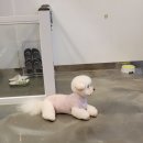 제이앤제이 그루밍 이미지