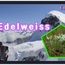 아코디언 이미지