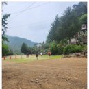 하일계곡 소나무집 | 포천펜션 대가족 모임에 딱이었던 계곡과소나무펜션 단체 독채 이용 솔직 후기