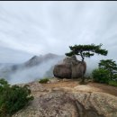 제122차 인천서구검단산악회 문경 둔덕산 정기산행 이미지