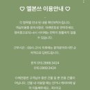 엘본쓰 | 수영인들에게 최적인 루프탑 수영장ㅣ부산 해운대 가성비 애견동반 호텔 엘본쓰 주말 후기