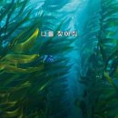 도리네일 - 남구 중앙대로32길 31 | 도리네일