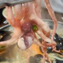 구봉공원(주차장) 이미지