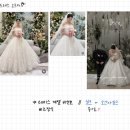 댕까댕까 | #W02_플래너 정하기 | 와이즈웨딩 “변다솔 플래너님” 계약후기