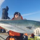 구룡포농업협동조합 이미지