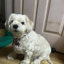 세이브 동물병원 이미지