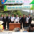 초천1리 이미지