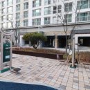 에코 더 힐 이미지