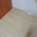 피톤바이오 이미지