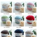 (주)소프트다인 | 소프트코지(SoftCozy)체험단 발표 및 판매 오픈