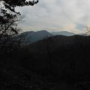 장원초교 이미지