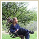 자연의 의자 이미지