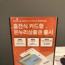 [수원] 신혼침대 금성침대 동수원점 내돈내산 후기