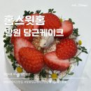 망원동 케이크 맛집 홈스윗홈 토끼당근케이크