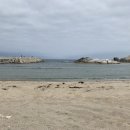 팍스스쿠바하우스