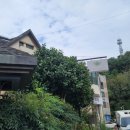 까트르쎄종 | 광주광역시 서구 풍암동 양식 맛집 까트르쎄종 후기