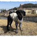 덕정 동물의료센터 이미지