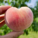 이목농장 이미지