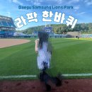 내바퀴 | 라팍 한바퀴 이벤트 후기 | 대구삼성라이온즈파크 직관