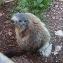 성은자원 | 동유럽 5개국 하나투어 여행 2일차 (짤츠감머굿, 짤츠부르크, 할슈타트)