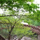 태양미장원 이미지