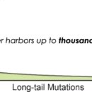 한미메딕 이미지