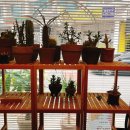 크레페원 이미지