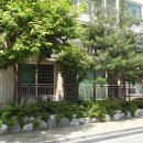 태영중앙공인중개사사무소 이미지